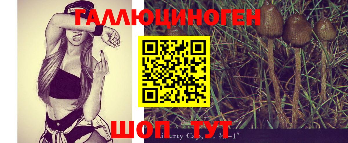 Галлюциногенные грибы GOLDEN TEACHER  Вход с VPN  Элиста  Псилоцибиновые грибы GOLDEN TEACHER 